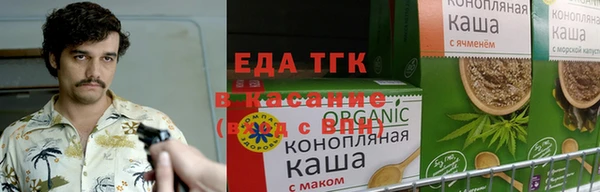 хмурый Алзамай