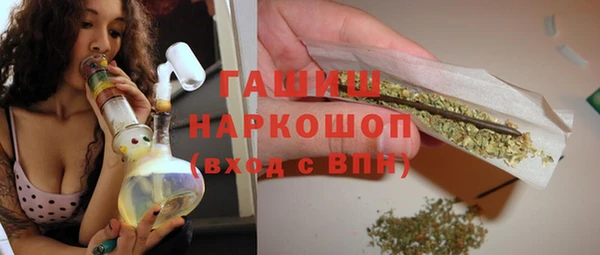 твердый Инсар