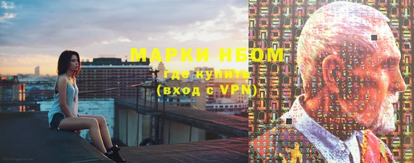 хмурый Алзамай