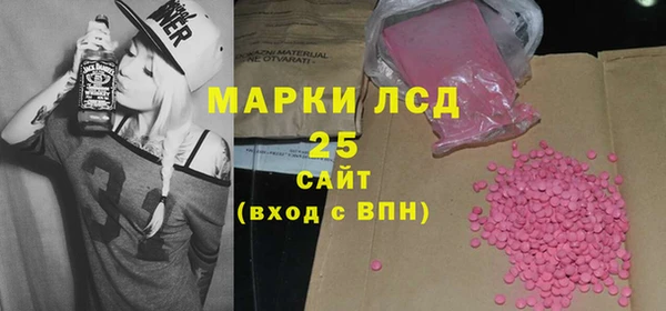 хмурый Алзамай