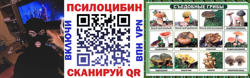 blacksprut ТОР  Бавлы  Галлюциногенные грибы мухоморы 